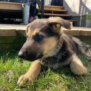 Meet your Posher, Sanaa